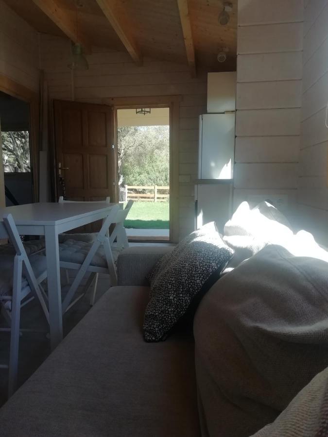 Woodhouse Apartment Tarifa Bagian luar foto